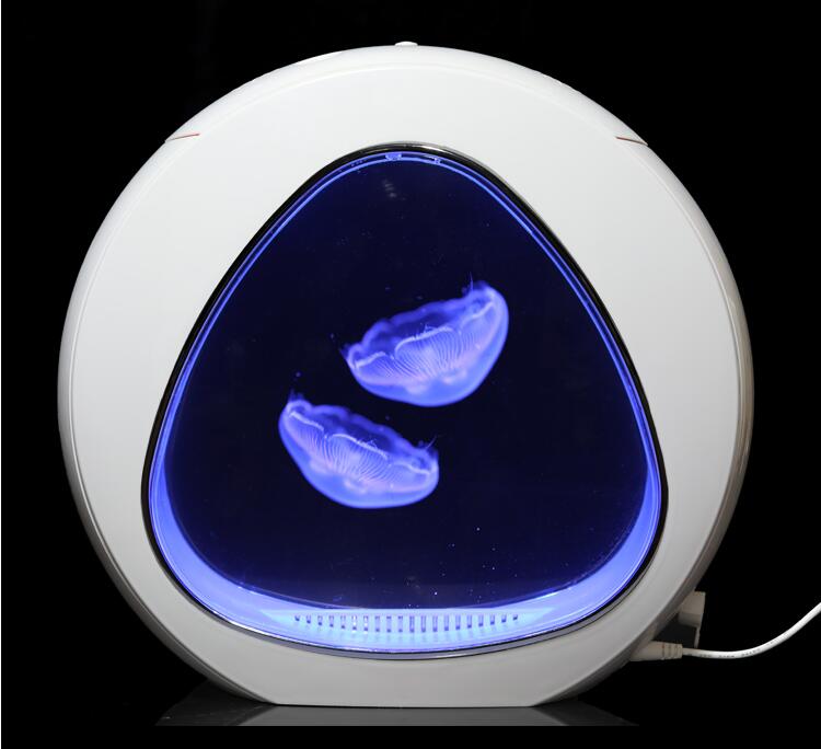 Jellyfish tank
