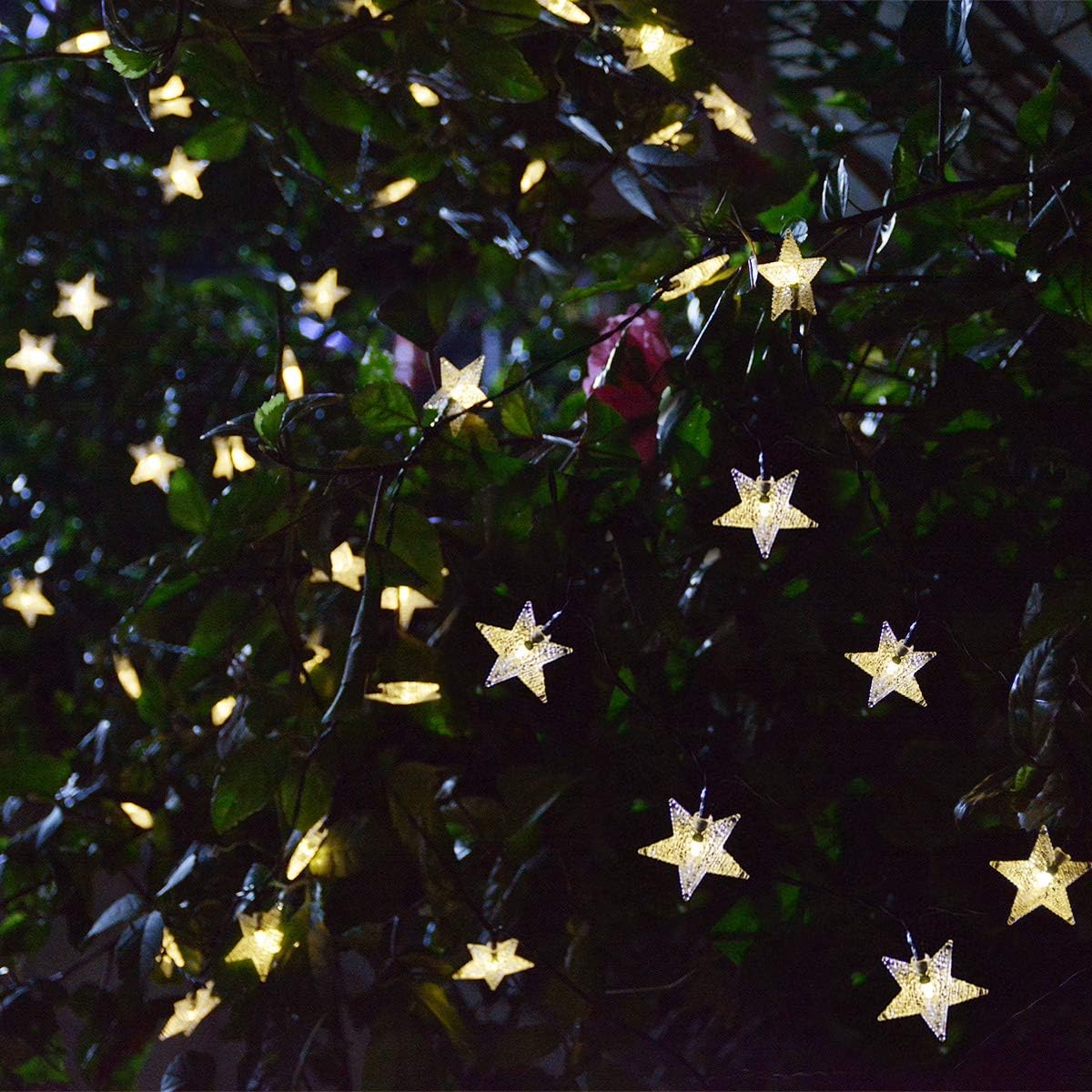 Solar Star String