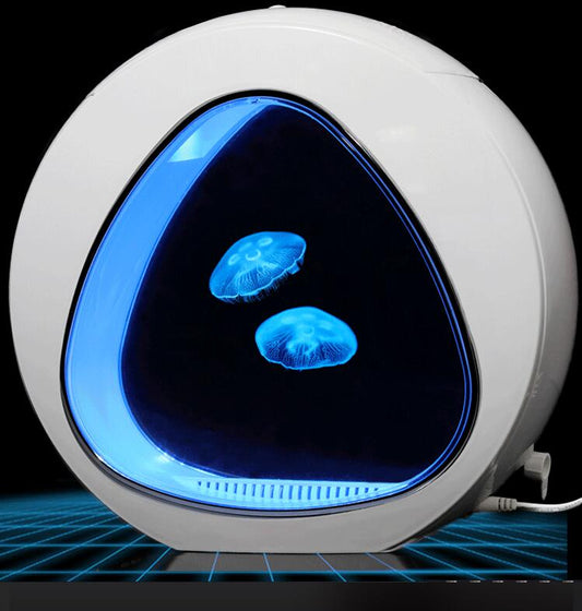 Jellyfish tank